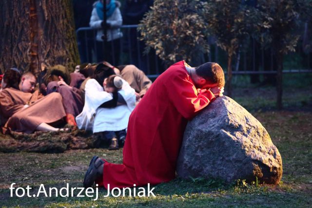 Jasienica 201932